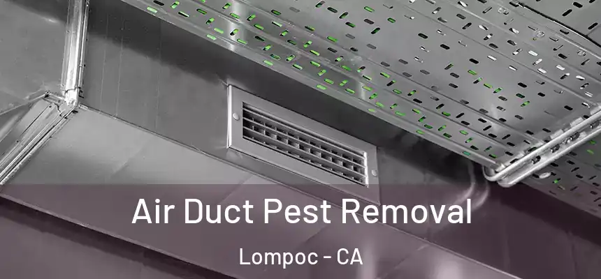  Air Duct Pest Removal Lompoc - CA