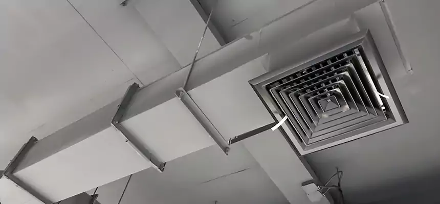 Our Rodent Droppings In Vents Services in Lompoc, CA