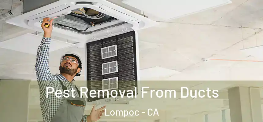  Pest Removal From Ducts Lompoc - CA