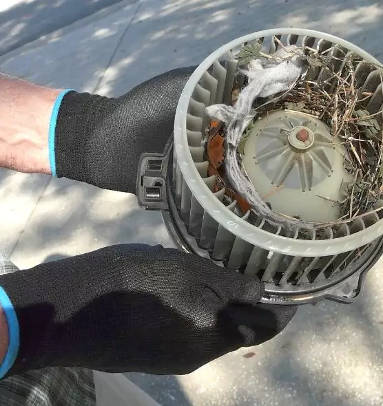 About Air Duct Mice Removal in Lompoc, CA