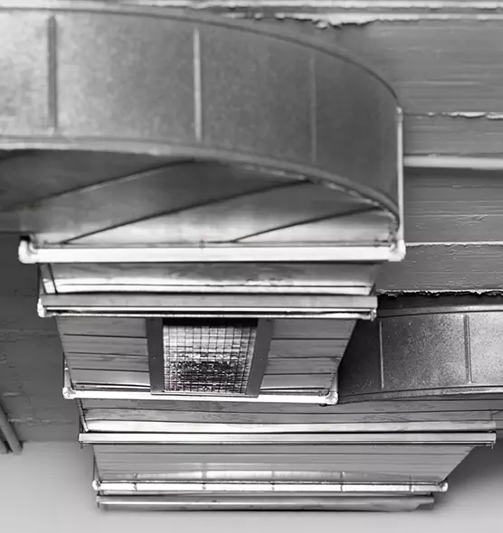 Professional Air Duct Pest Removal in Lompoc, CA