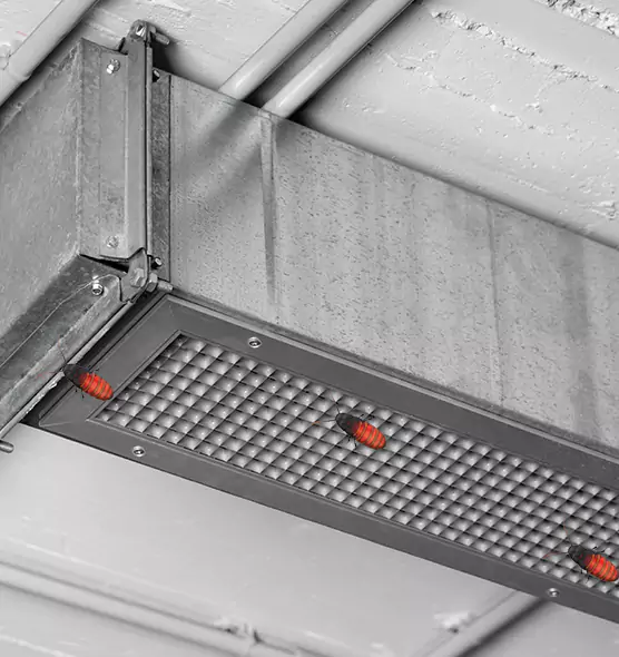 Affordable Insect Removal from Air Ducts in Lompoc, CA