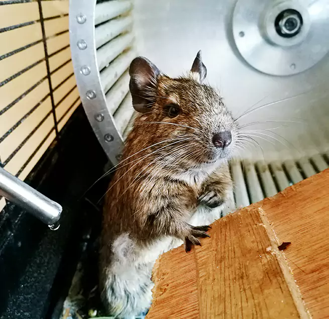 Why Homeowners & Businesses Trust Us Lompoc, CA